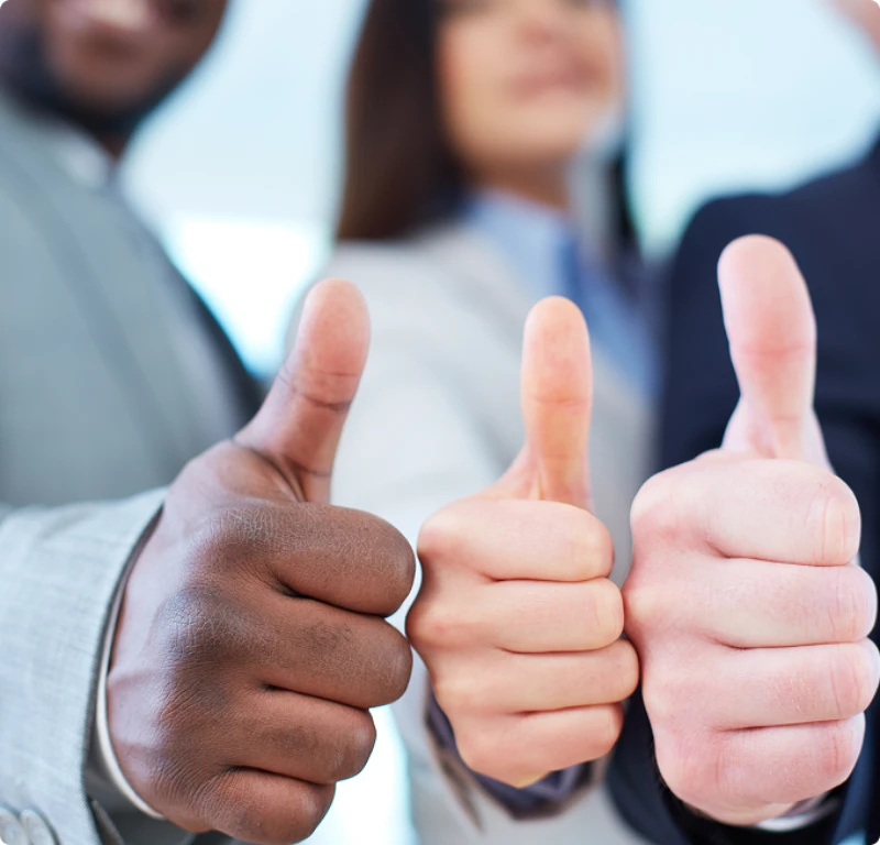 Imagem Ilustrando IBDT